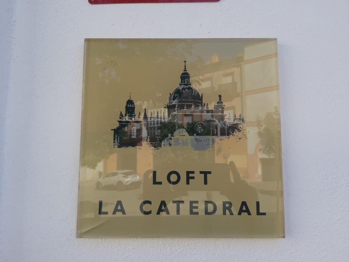 Apartmán Loft La Catedral - Parking Disponible Jerez de la Frontera Exteriér fotografie